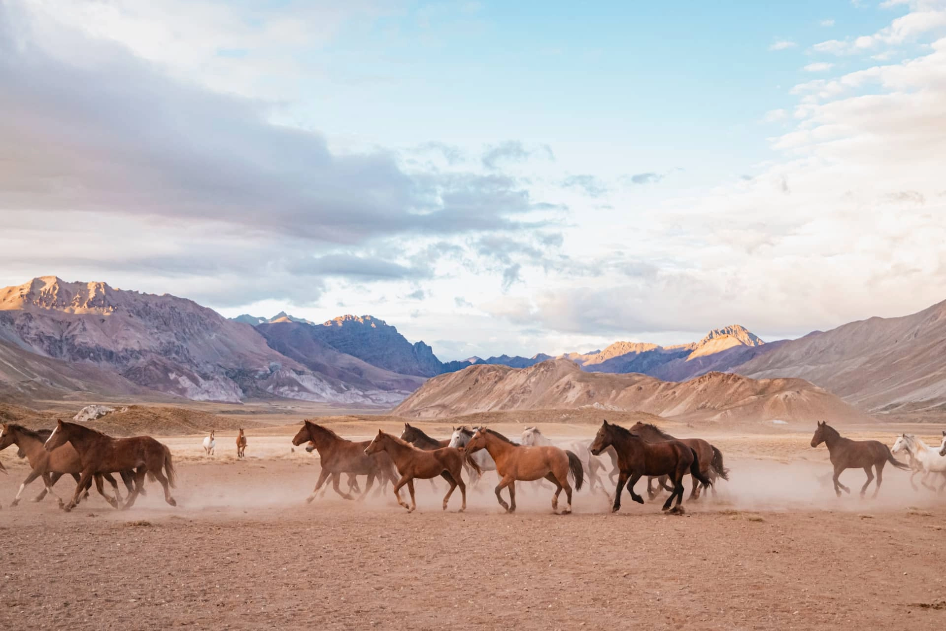 Manada de caballos corriendo en paisaje montañoso