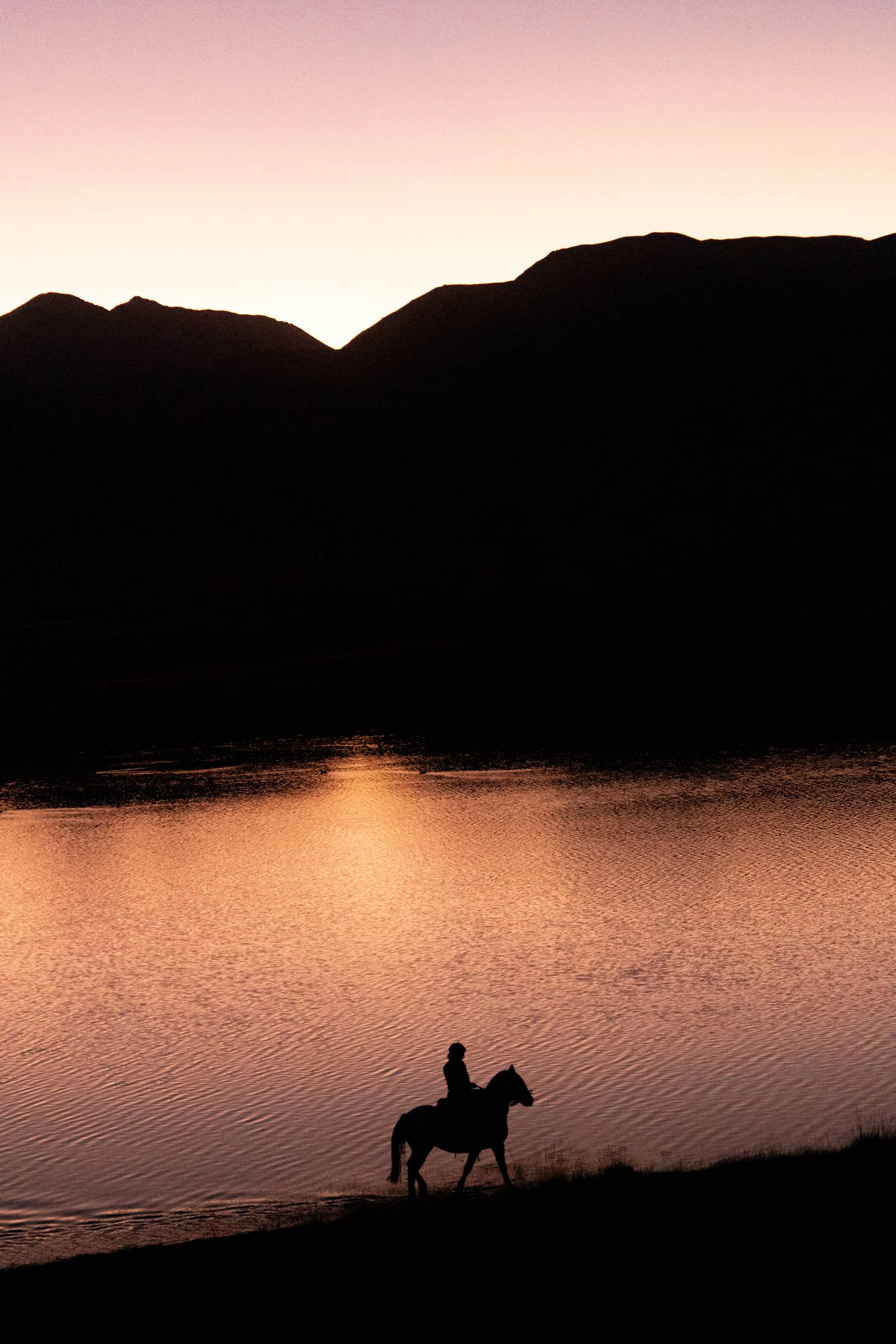 Caballos galopando en paisaje desértico