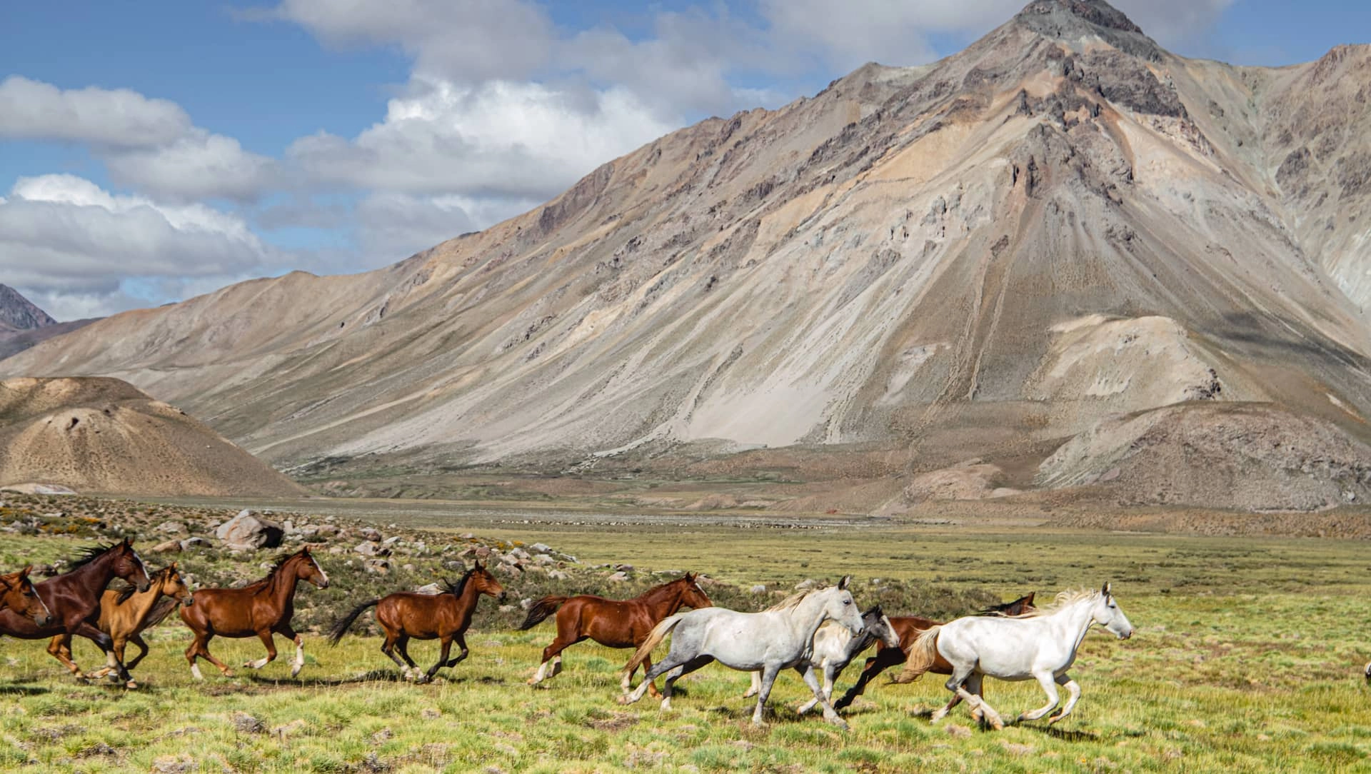 Silueta de jinete al atardecer