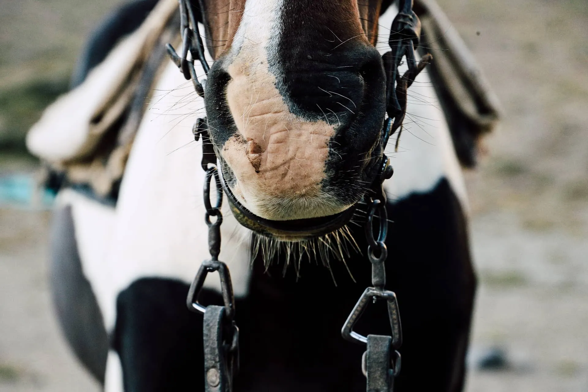 Contacto - GR Turismo Aventura